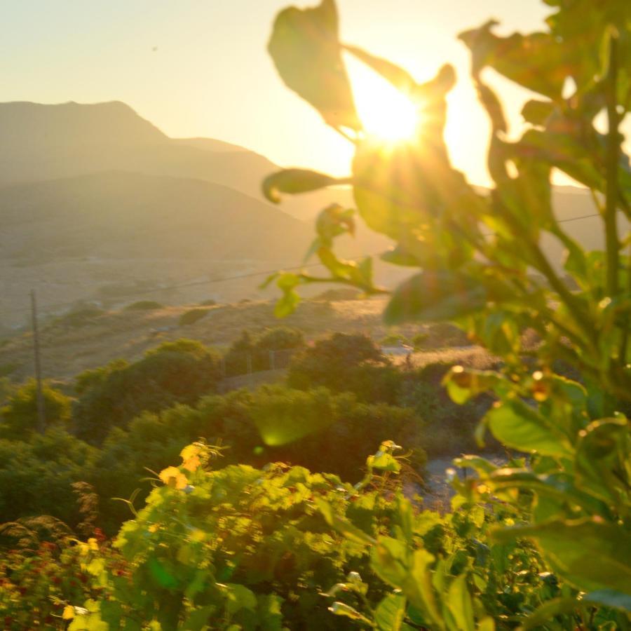 Sarantis Suites & Apartments Provatas Bagian luar foto